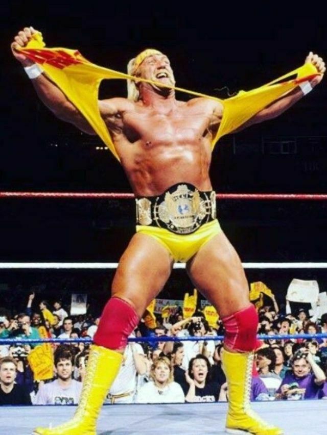 Hulk Hogan net worth 2023, lifestyle, family, and more HowdySports