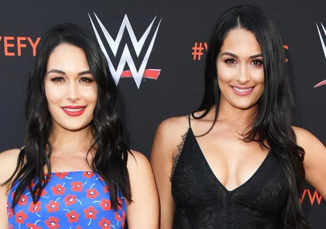 Nikki Bella and Brie Bella Bella Twins