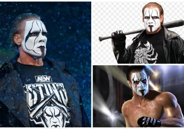 Sting, The only wrestler to be in AEW, TNA, WCW, WWE