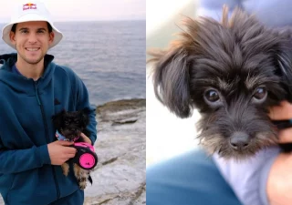 Dominic Thiem dog Pipo